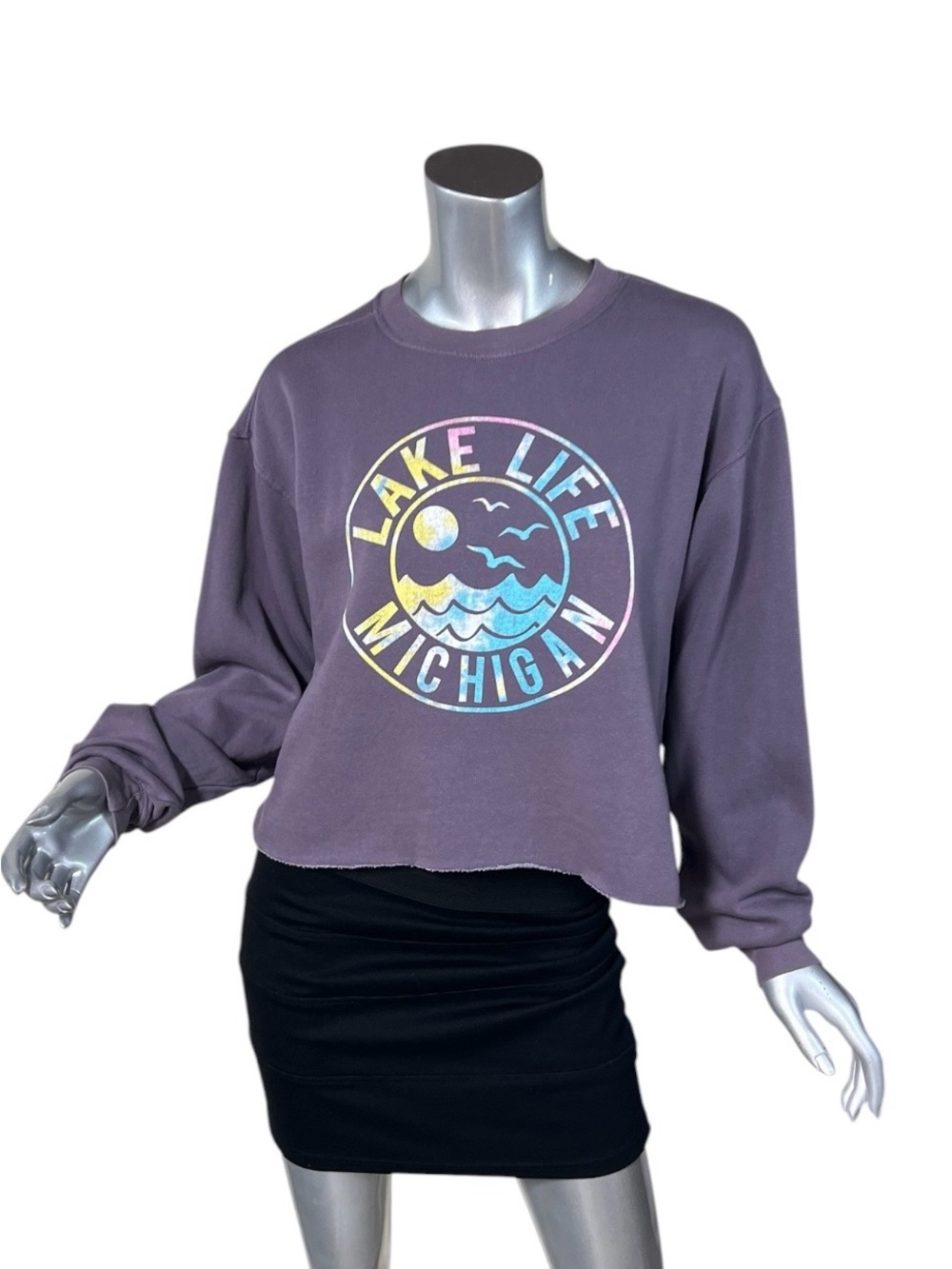 Blue 84 Crew Neck Sweatshirt Michigan Lake Life Crop Purple Size Small